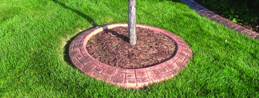 Concrete landscape curbing for tree rings.
