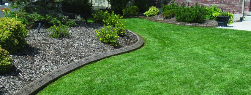 Decorative landscape borders help keep weeds out of beds.